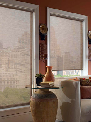 New York New Jersey Roller Shades
